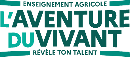 Visiter le site 