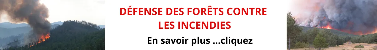 D&eacute;fense des For&ecirc;ts Contre l'Incendie (DFCI)