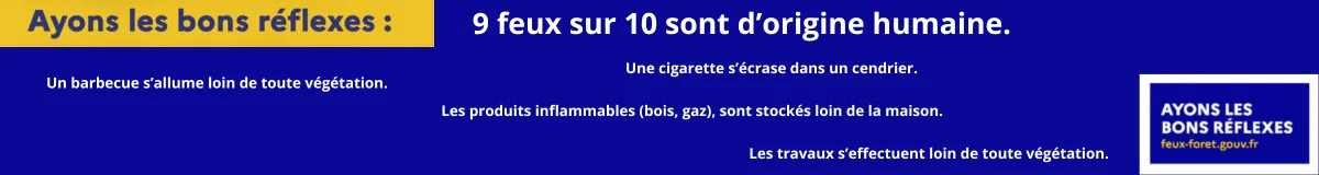 Lutte contre les vols de bois en forêt