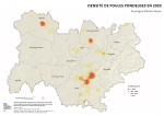 Vignette Image 2 : Carte repr&eacute;sentant la densit&eacute; de poules pondeuses en Auvergne-Rh&ocirc;ne-Alpes, selon les donn&eacute;es du Recensement Agricole 2020. La carte illustre les zones o&ugrave; la production d'&oelig;ufs est concentr&eacute;e dans la r&eacute;gion.