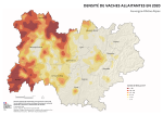 Vignette Image 2 : Carte repr&eacute;sentant la densit&eacute; de vaches allaitantes en Auvergne-Rh&ocirc;ne-Alpes, selon les donn&eacute;es du Recensement Agricole 2020. La carte illustre les zones o&ugrave; les &eacute;levages de vaches allaitantes sont concentr&eacute;s dans la r&eacute;gion.