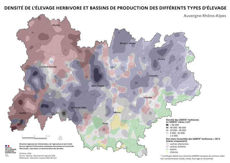 Carte représentant la densité d'UGBTA herbivores (vaches, brebis,chèvres) en Auvergne-Rhône-Alpes, selon les données du Recensement Agricole 2020. La carte illustre les zones où les élevages herbivores dominent dans la région. De plus, les bassins de production par type d'élevage sont illustrés par des hachures de couleurs différentes : les zones où la part des vaches allaitantes est supérieure à 50 % sont hachurées en rouge, les hachures sont bleues pour les vaches laitières, vertes pour les brebis et jaunes pour les chèvres . 
