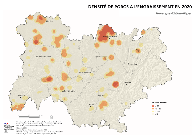 Carte représentant la densité de porcs à l'engraissement en Auvergne-Rhône-Alpes, selon les données du Recensement Agricole 2020. La carte illustre les zones où les élevages de porcs à l'engraissement sont concentrés dans la région.